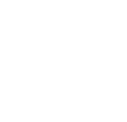 custom website development